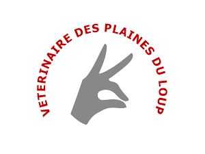 Vétérinaire des Plaines-du-Loup